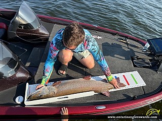 49" Muskie caught on Lake of the Woods