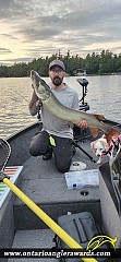 43" Muskie caught on Stoney Lake
