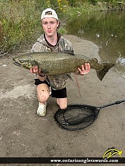 36" Chinook Salmon caught on Duffins Creek