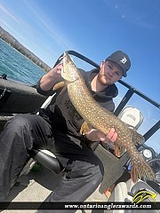 32" Northern Pike caught on Georgian Bay
