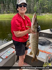 38" Northern Pike caught on Winnipeg River 