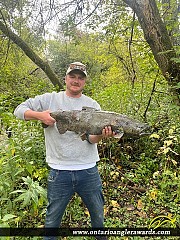 37" Chinook Salmon caught on Cobourg Brook 