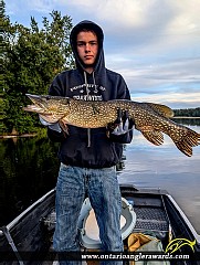 41.5" Northern Pike caught on Crowe River
