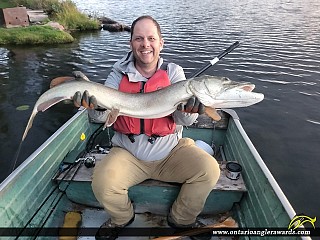 43" Muskie caught on Lovesick Lake