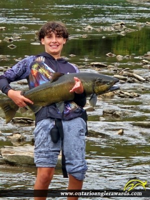 39" Chinook Salmon caught on Humber River