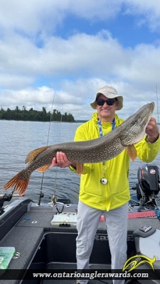 41" Northern Pike caught on Little Sand Lake