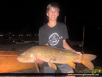 30" Carp caught on Wellers Bay