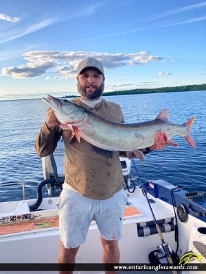 51" Muskie caught on Lake Nipissing