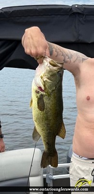 19" Largemouth Bass caught on Cameron Lake