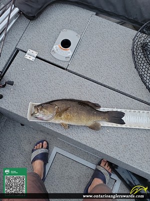 21" Smallmouth Bass caught on Lower Rideau Lake