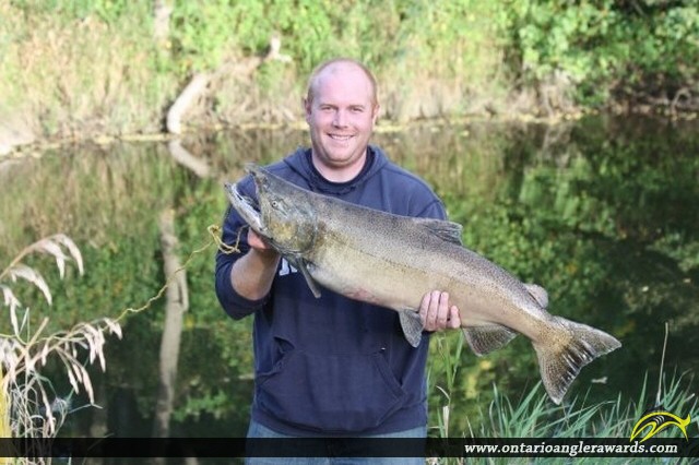 40" Coho Salmon caught on Wicklow Beach