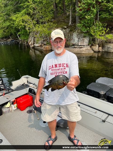 10.12" Pumpkinseed caught on Bobs Lake