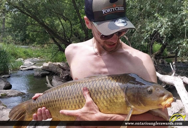 40" Carp caught on Lake Lisgar