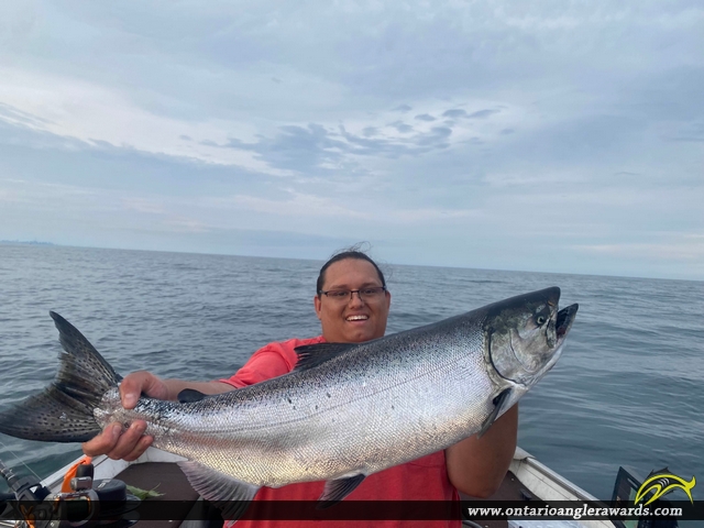36" Coho Salmon caught on Lake Ontario