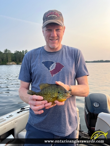 10" Pumpkinseed caught on Lake Chebogamog