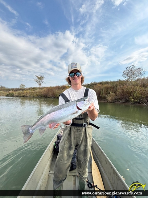 26" Rainbow Trout caught on Saugeen River
