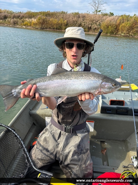 24.5" Rainbow Trout caught on Saugeen River
