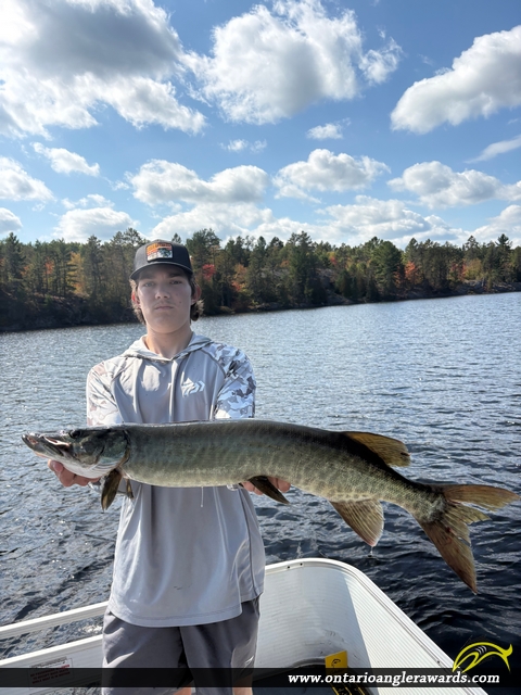 36.25" Muskie caught on Trout lake 