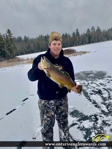 25" Brown Trout caught on Loon Lake