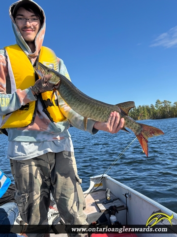 36" Muskie caught on Lovesick Lake