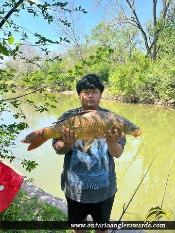 30.1" Carp caught on Thames River