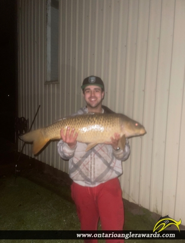 33" Carp caught on Black Creek
