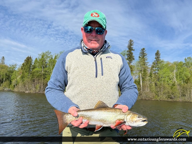 20" Brook/Speckled Trout caught on Lake Nipigon
