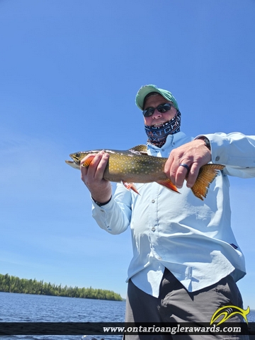 20" Brook/Speckled Trout caught on Lake Nipigon