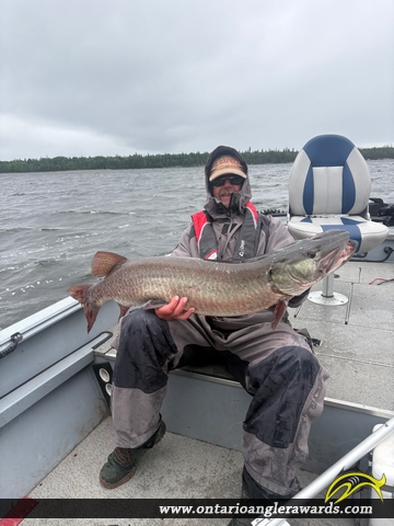46" Muskie caught on Long Legged 