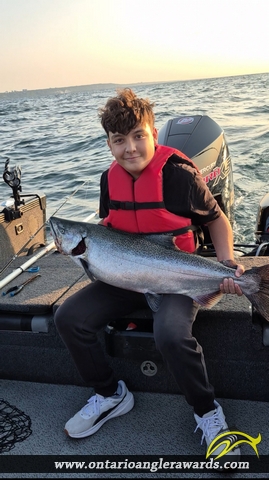 36" Chinook Salmon caught on Lake Ontario