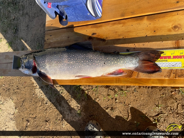 26" Splake caught on Cecile Lake