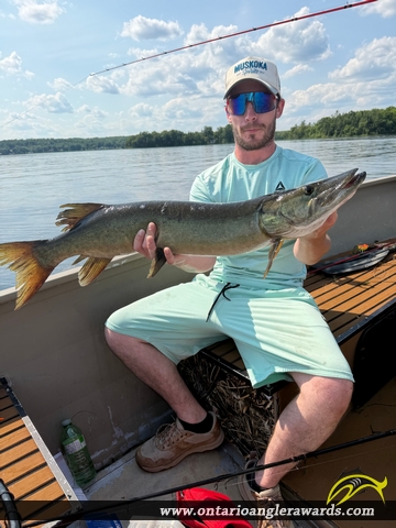 43" Muskie caught on Moira Lake