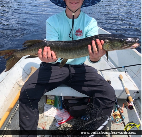 38" Muskie caught on Sturgeon Lake 