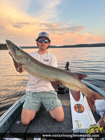 48.5" Muskie caught on Pistol Lake