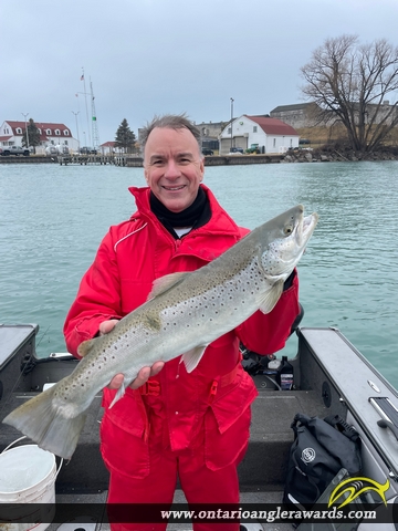 33" Brown Trout caught on Niagara River