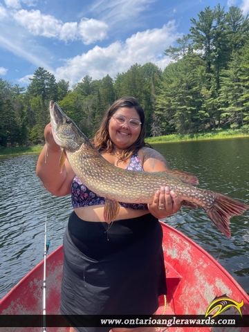 35" Northern Pike caught on Iroquois Bay
