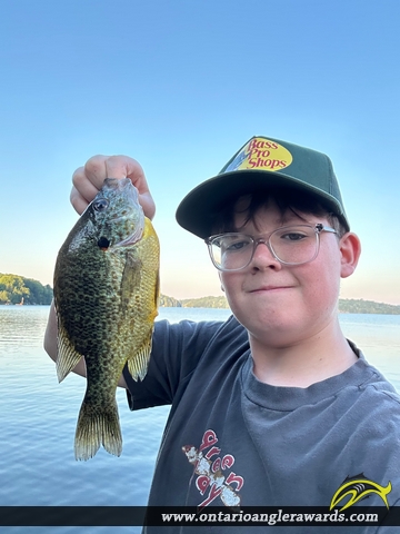 9.5" Bluegill caught on Big Clear Lake