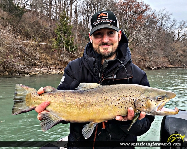 27" Brown Trout caught on Niagara River