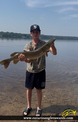 33" Northern Pike caught on Ottawa River