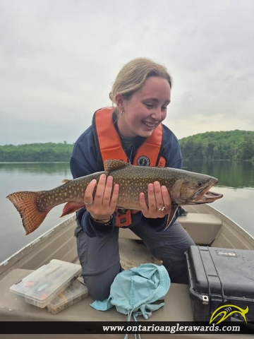 22.1" Brook/Speckled Trout caught on Sill lake 