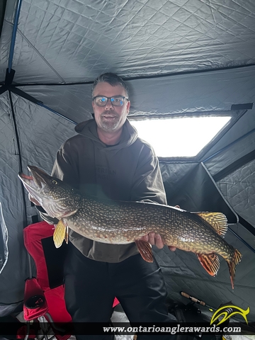 38" Northern Pike caught on Lake Muskoka 