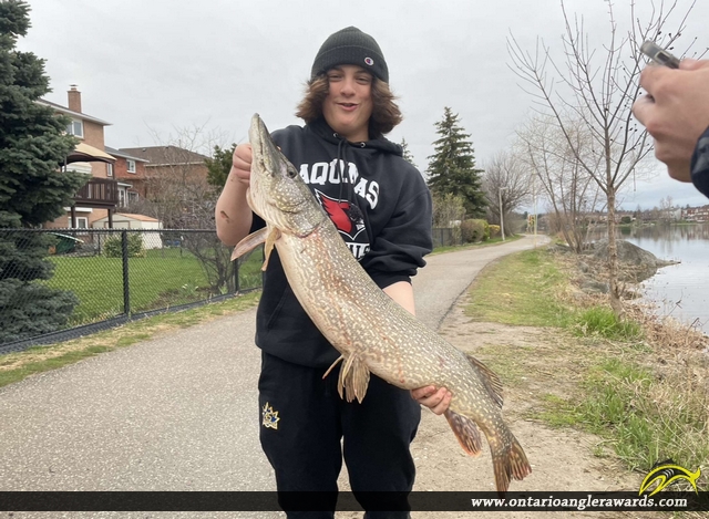 43" Northern Pike caught on Professors Lake