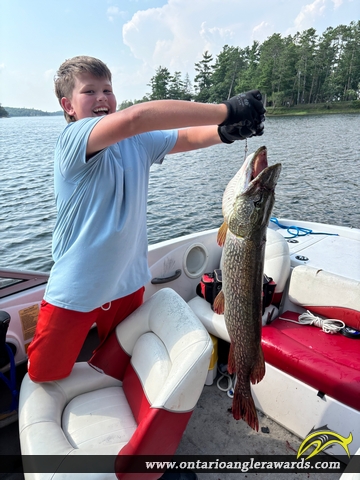 38.5" Northern Pike caught on Lake of the Woods