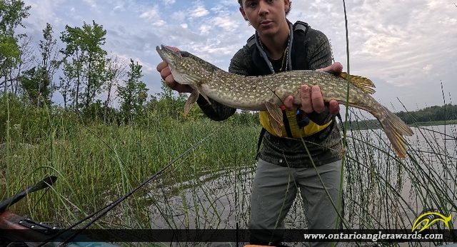 30" Northern Pike caught on Georgian Bay