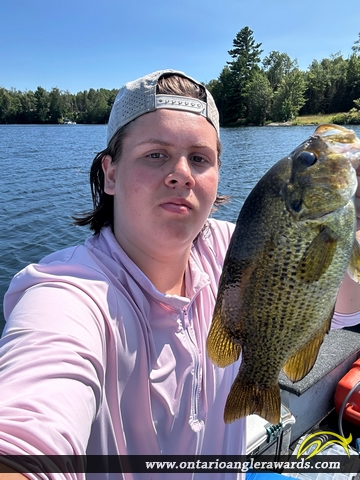 12.5" Rock Bass caught on Dean Lake