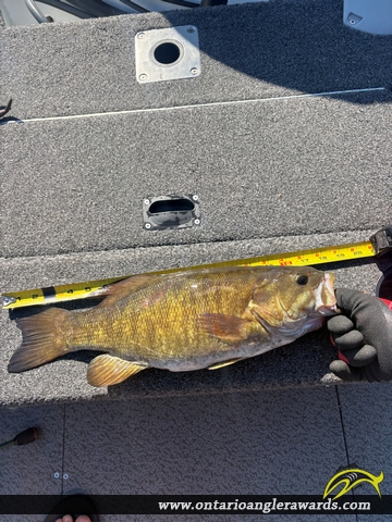 18" Smallmouth Bass caught on Lake of the Woods