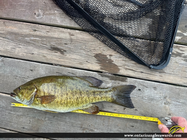 18" Smallmouth Bass caught on Upper Rideau Lake