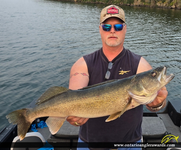 30" Walleye caught on Lake of the Woods