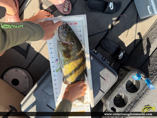 18" Smallmouth Bass caught on Lake of the Woods