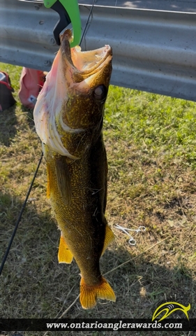 26" Walleye caught on St. Lawrence River